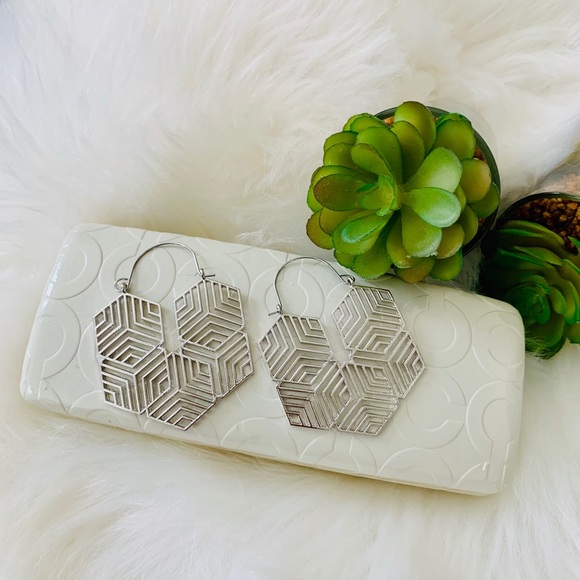 Silver Eclectic Earrings - Picture 2 of 4